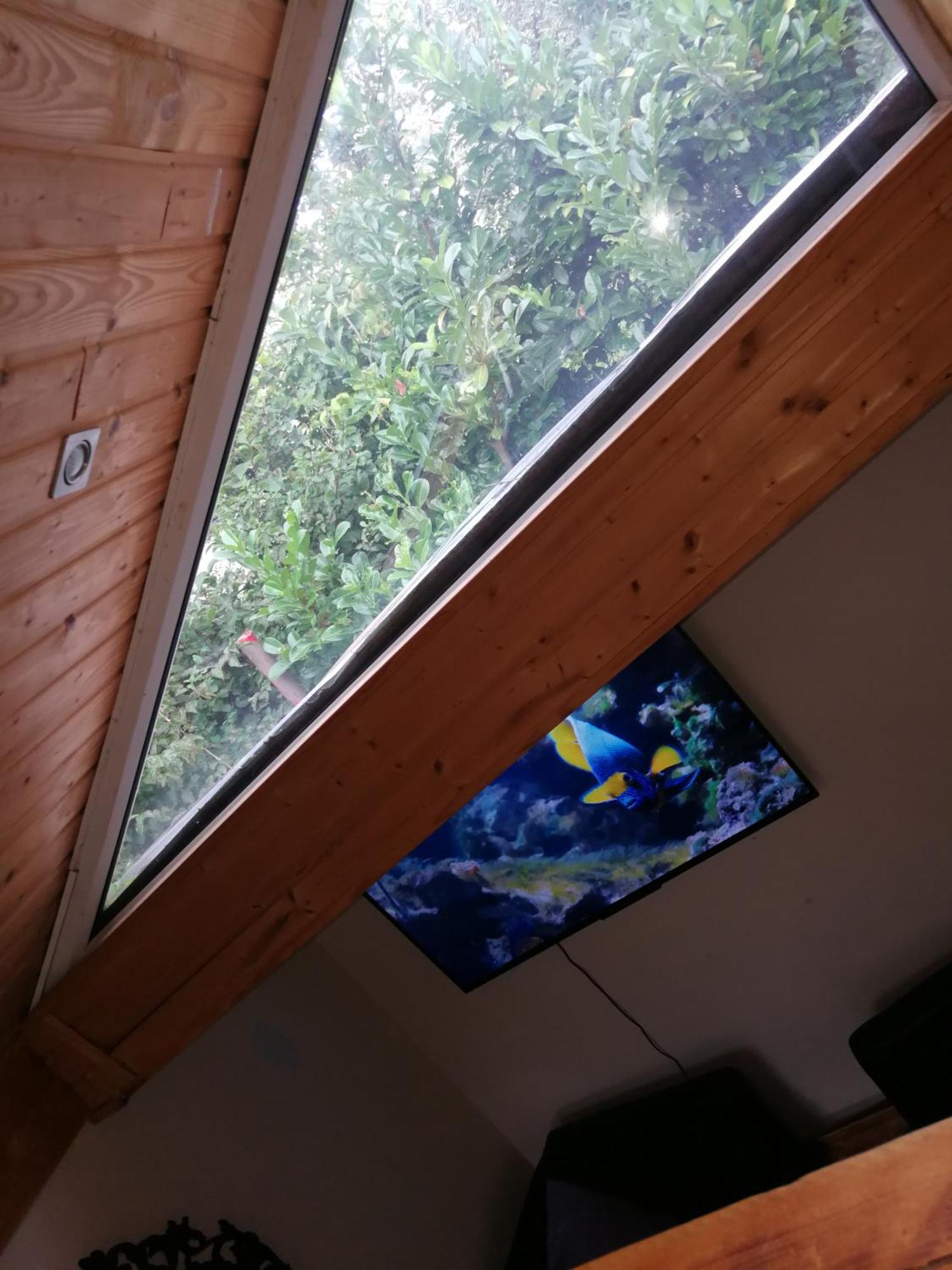Wohlfuehloase - Zimmer, Appartment - Im Herzen Starnbergs Номер фото